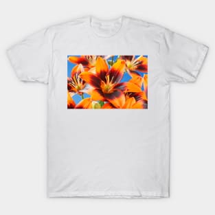 Lilium  'Cooper's Crossing'  Lily	Asiatic lily T-Shirt